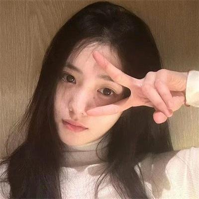 灵域第六季
